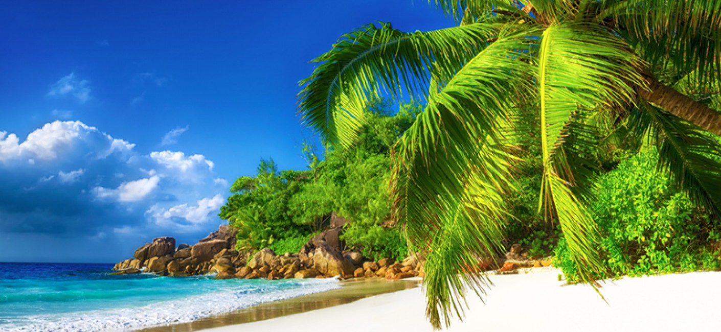 Explore Praslin, paradise in the Seychelles | Air Seychelles